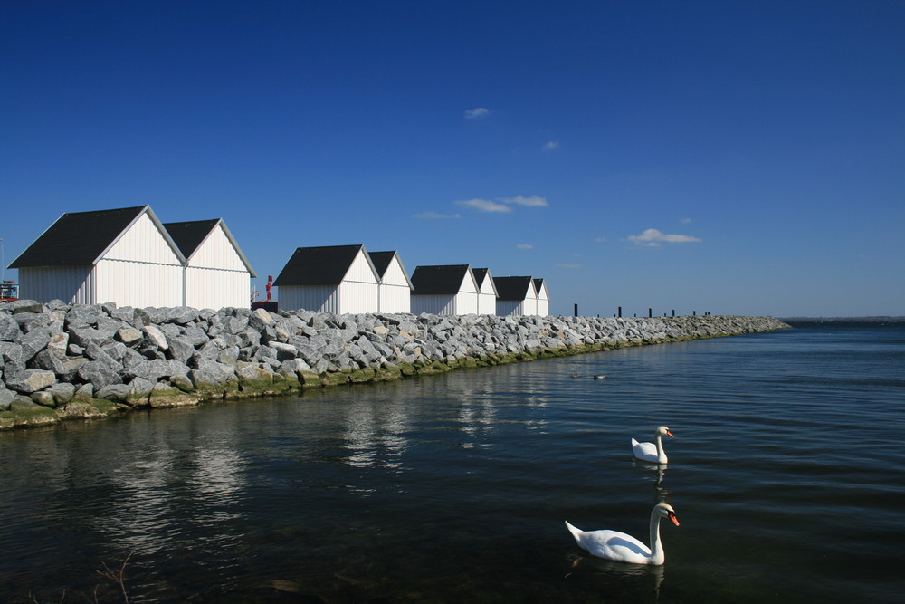 Fischereihafen Tarnewitz