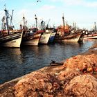 Fischereihafen von Essaouira (Marokko)