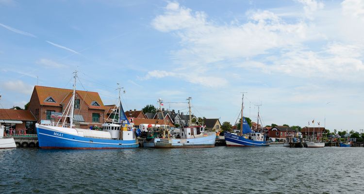 Fischereihafen von Maasholm