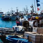 Fischereihafen von Trapani