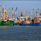 Fischerflotte in Lauwersoog - NL