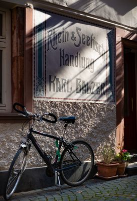 Fischergasse (3) | Mainz