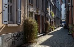 Fischergasse | Mainz