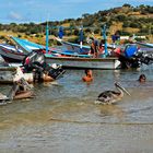 Fischerhafen auf der Playa El Tirano 02