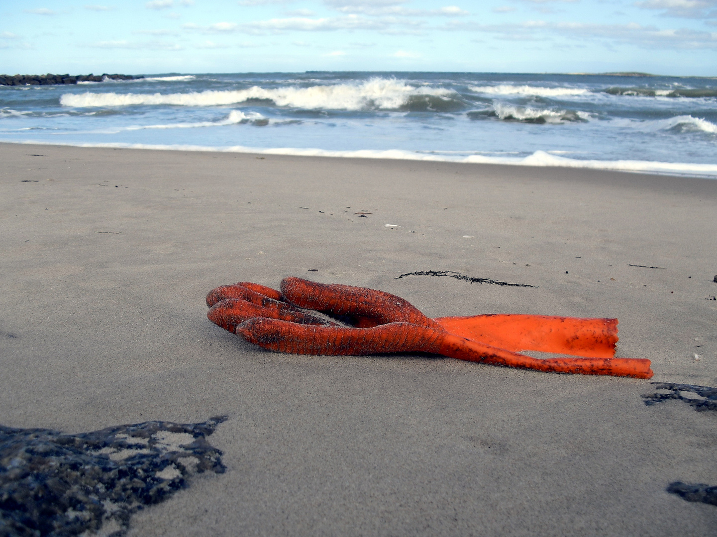 Fischerhandschuh am Strand