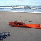 Fischerhandschuh am Strand