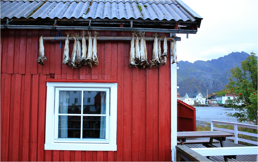 ~ Fischerhaus in Henningsvær ~