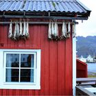 ~ Fischerhaus in Henningsvær ~