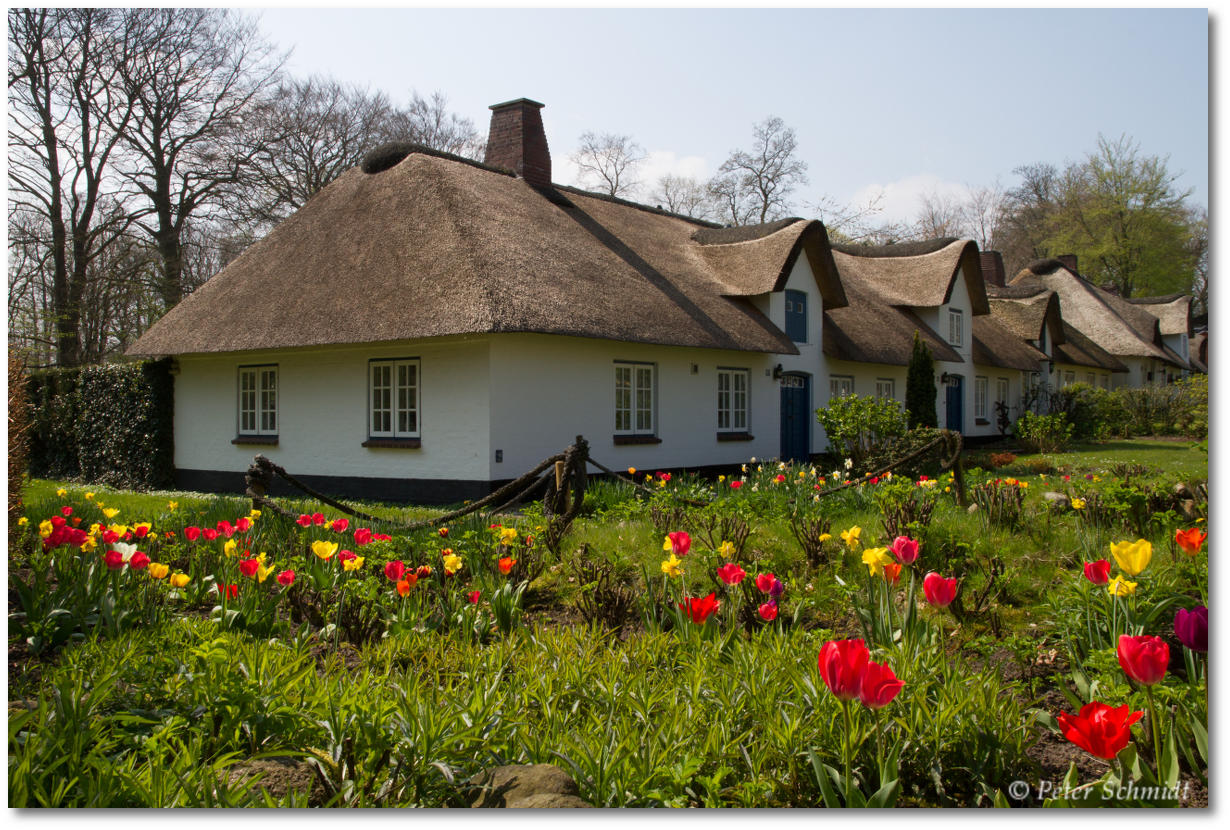 "Fischerhaus" mit Tulpentracht