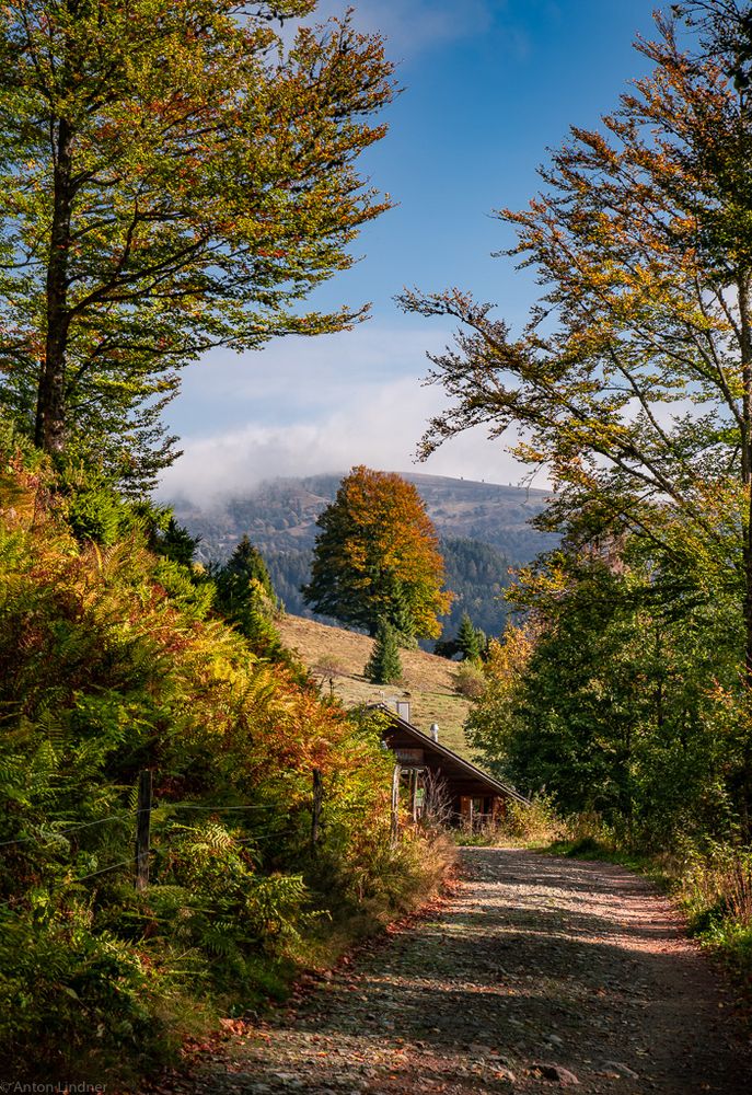 Fischerhütte am Nonnenmattweiher