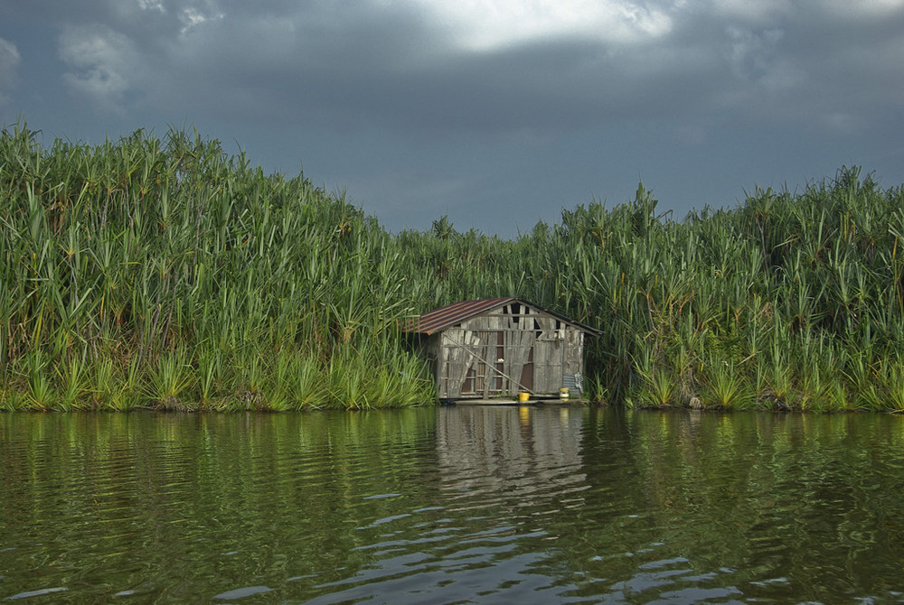 Fischerhütte am Tasik Chini, West Malaysia