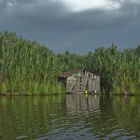 Fischerhütte am Tasik Chini, West Malaysia