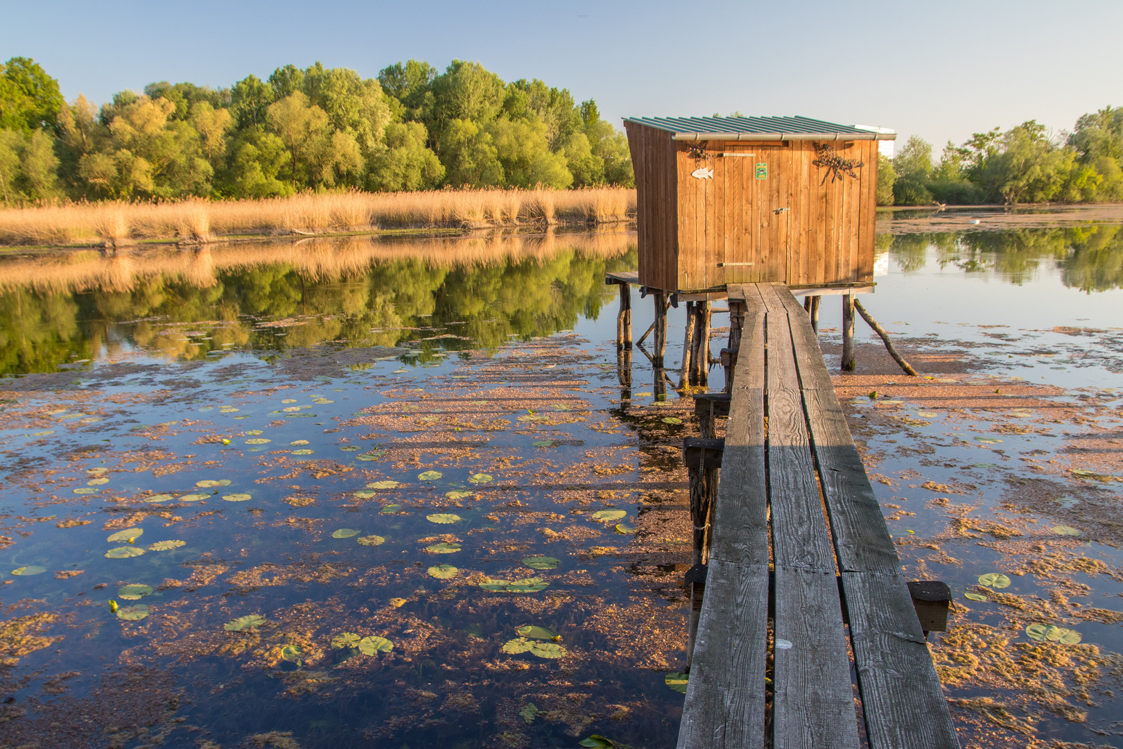 Fischerhütte im Abendlicht