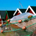 Fischerhütten in Hornbæk auf Seeland, Dänemark