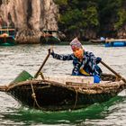 Fischerin, Halong Bay