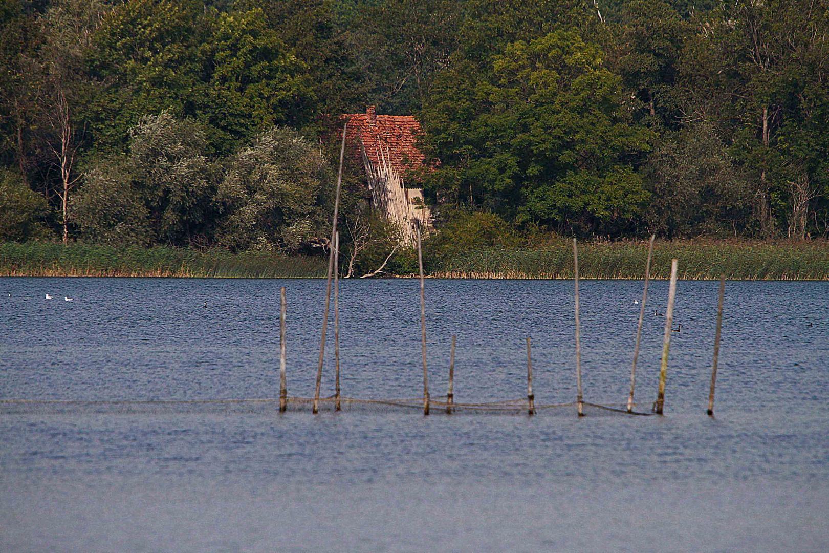 Fischerinsel Foto & Bild landschaft, wasser, see Bilder auf