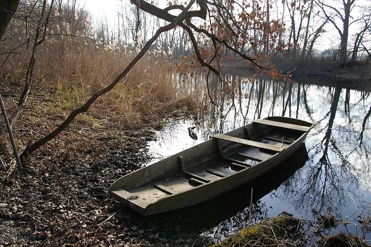 Fischerkahn in einem Altrheinarm bei Liedolsheim