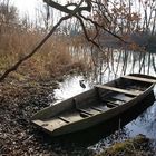 Fischerkahn in einem Altrheinarm bei Liedolsheim