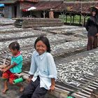 Fischerkinder in Südjava