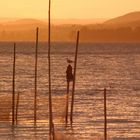 Fischernetze am Bodensee bei Sonnenuntergang