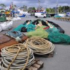 Fischernetze am Niendorfer Hafen