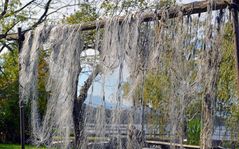 Fischernetze auf der Fraueninsel 20170926