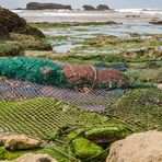 Fischernetze - Essaouira/Marokko