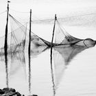 Fischernetze in Holland