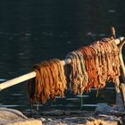 Fischernetze nach getaner Arbeit :-)