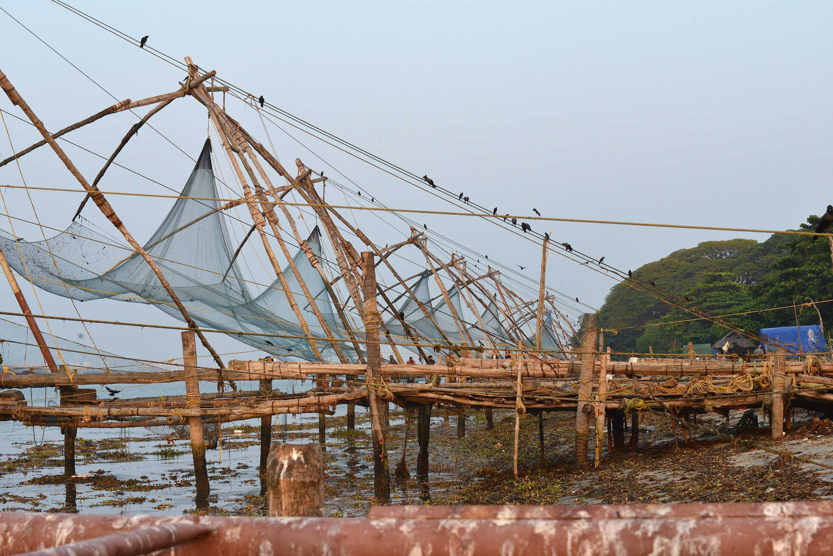 Fischernetze von Kochi