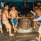 Fischernte am Mekong bei Chau Doc