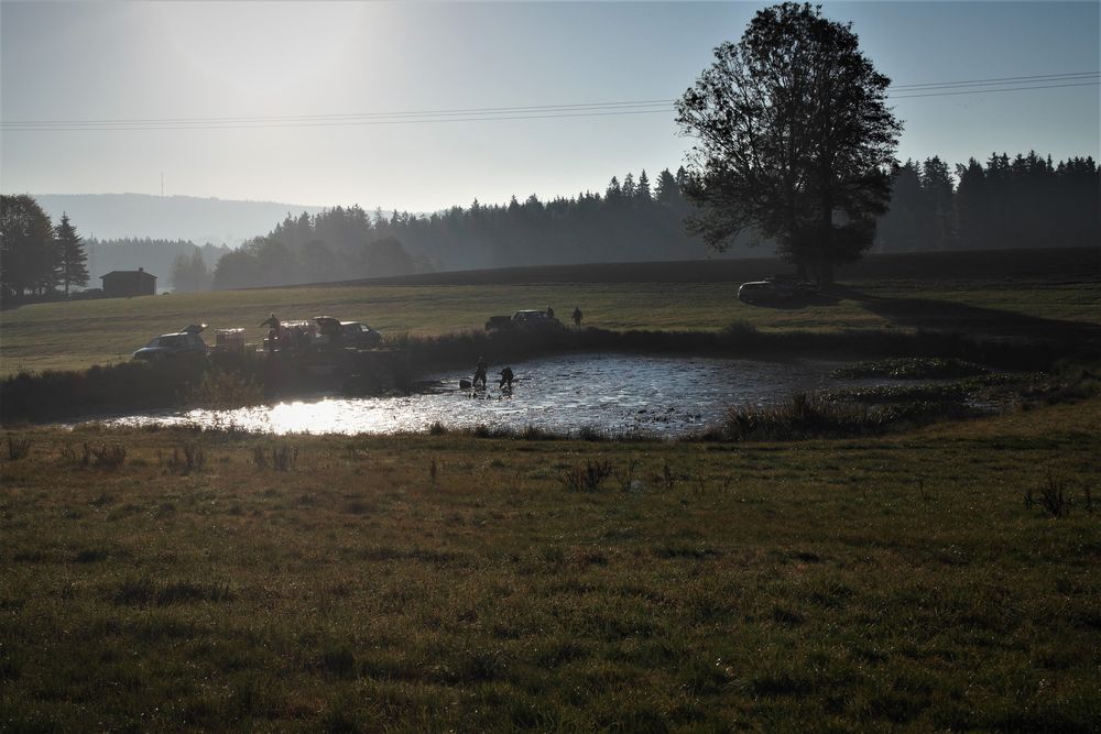 Fischernte - harte Arbeit frühmorgens