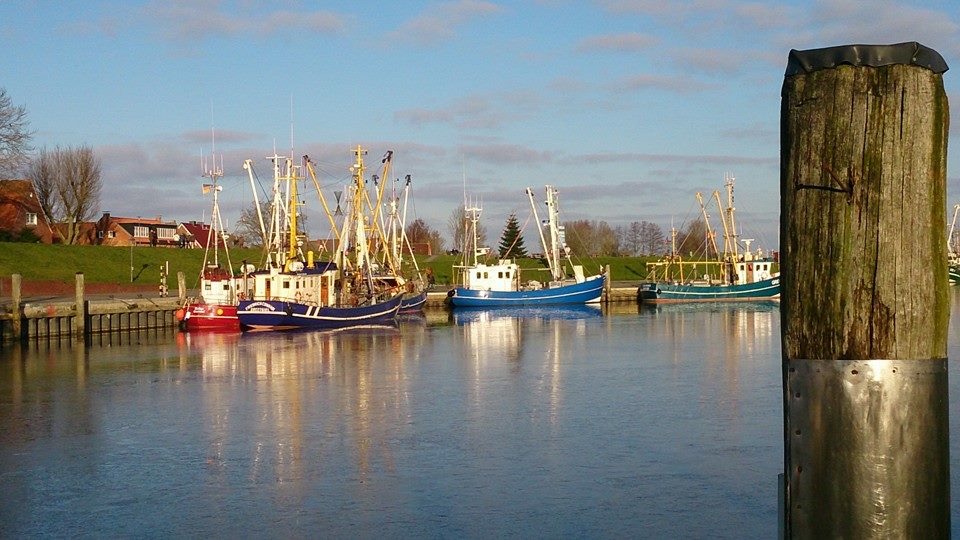 Fischerrei Hafen