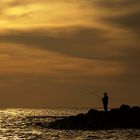 Fischers Fritz auf Maspalomas