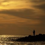 Fischers Fritz auf Maspalomas