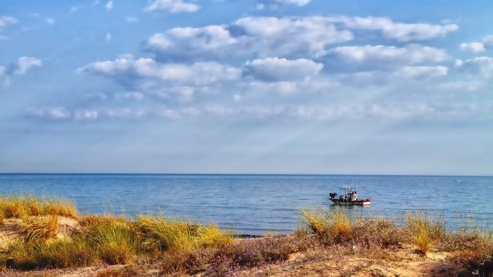 Fischers Fritz fischt frische Fische.