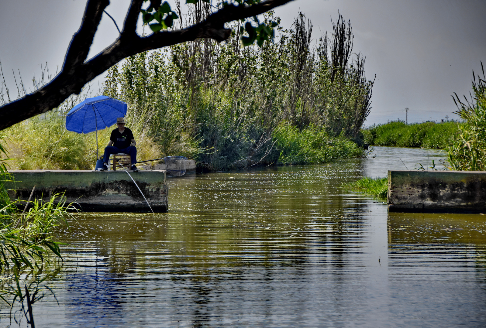 Fischers Fritz fischt frische Fische