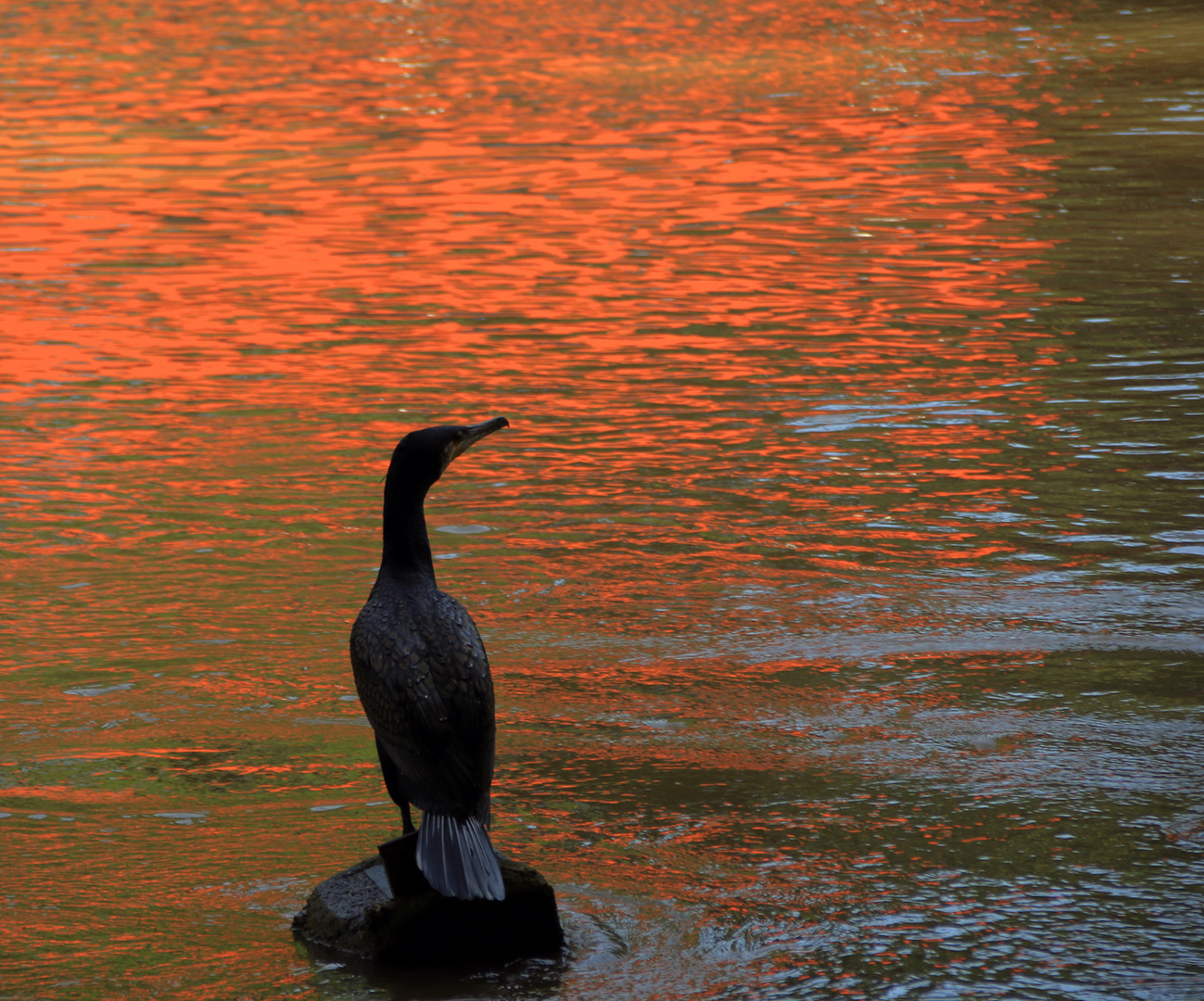 Fischers Fritz fischt frische Fische ...