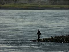 Fischers Fritz fischt frische Fische!