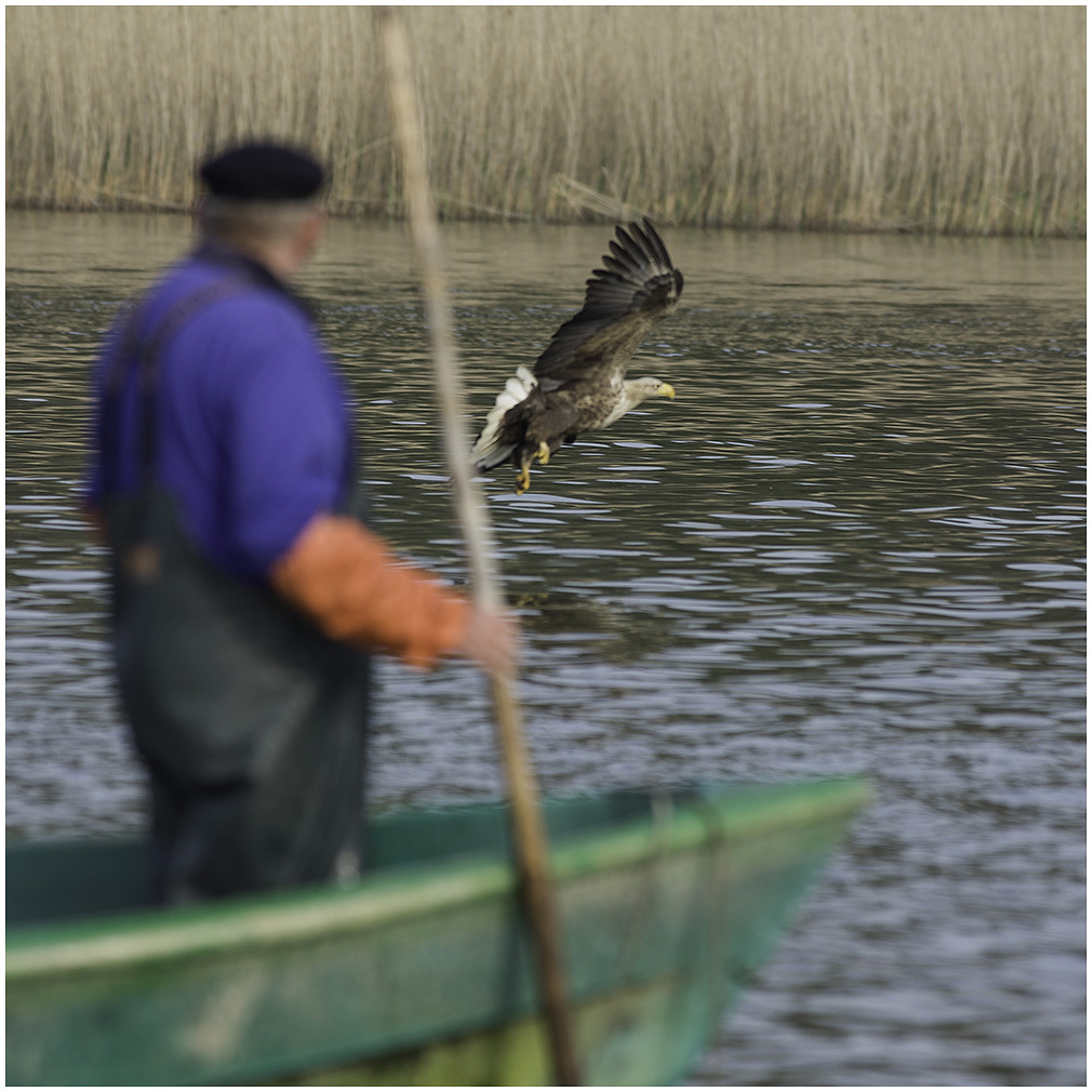 Fischers "Fritze"