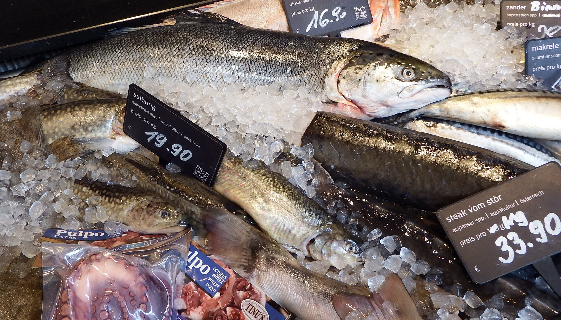Fischers Fritze Fischt Frische Fische Frische Fische Fischt Fischers Fritze Fischers Fritze fischt frische Fische, frische... Foto & Bild