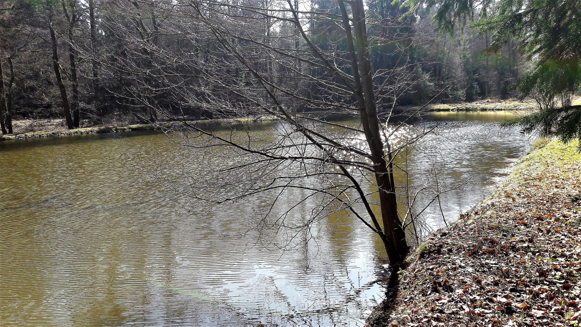 Fischers Fritze fischte frische Fische II