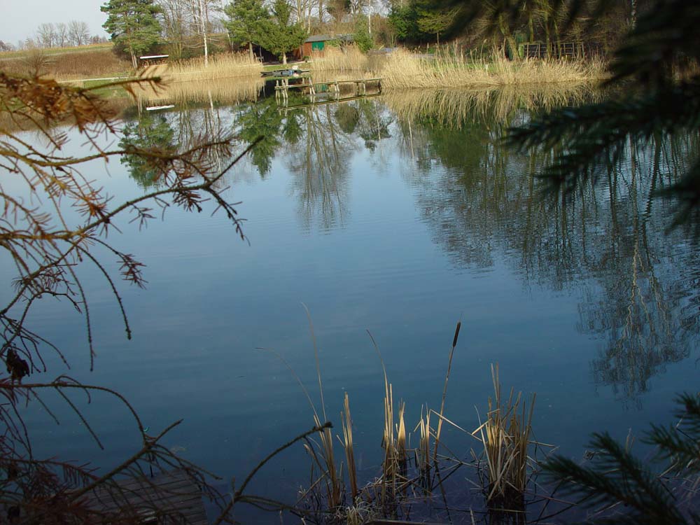 Fischersee in Schwarzach1