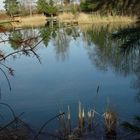 Fischersee in Schwarzach1