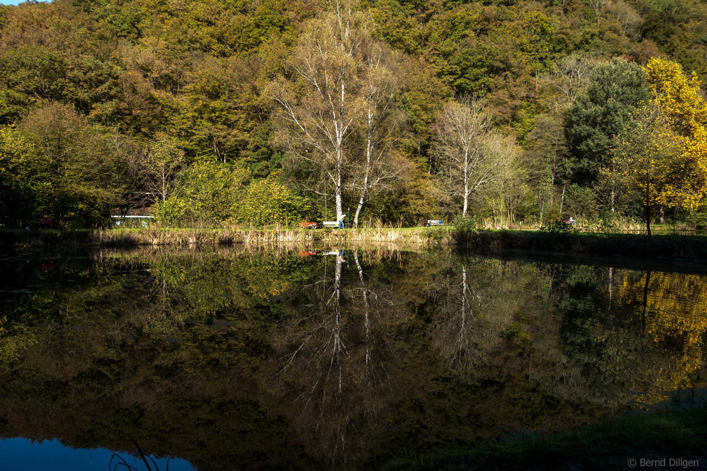 Fischerteich in Nassau an der Lahn..