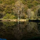 Fischerteich in Nassau an der Lahn..