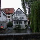 Fischerviertel, Ulm