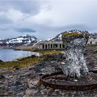 Fischfabrik in den Westfjorden...