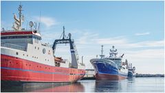 Fischfabriken