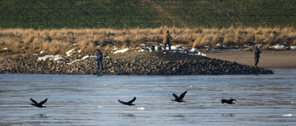 Fischfänger unter sich